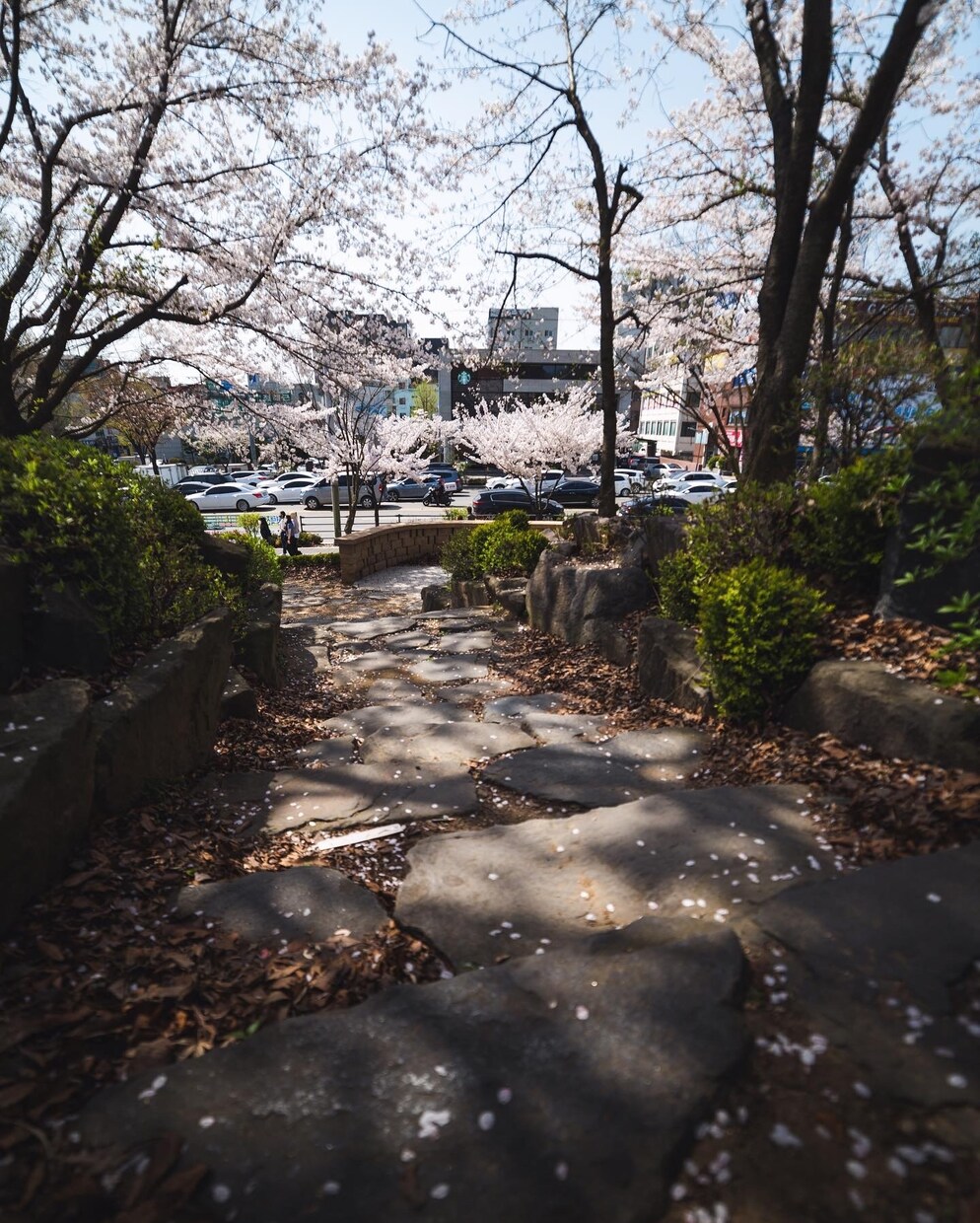 SNSなどで投稿する写真を現像・レタッチいたします 旅行で溜まった写真 日常で撮った写真など 格安で編集します！ イメージ2