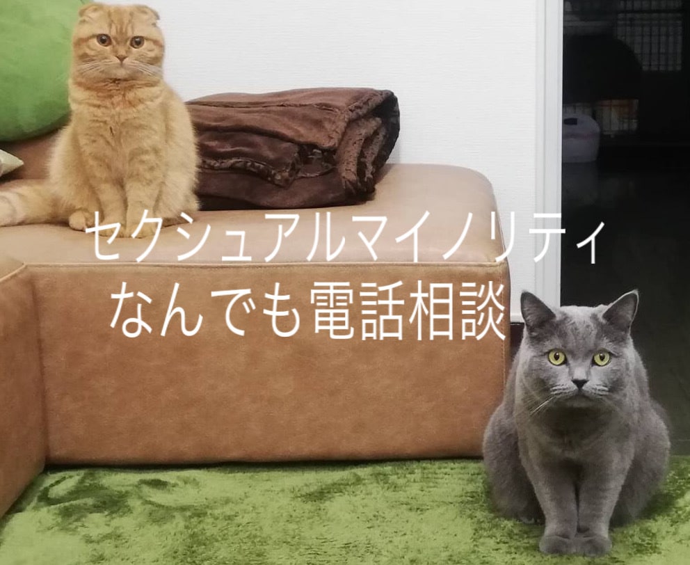 性同一性障害の精神保健福祉士がお話お聞きします FtM当事者です。LGBTのお悩み、生活や恋愛のことなども イメージ1