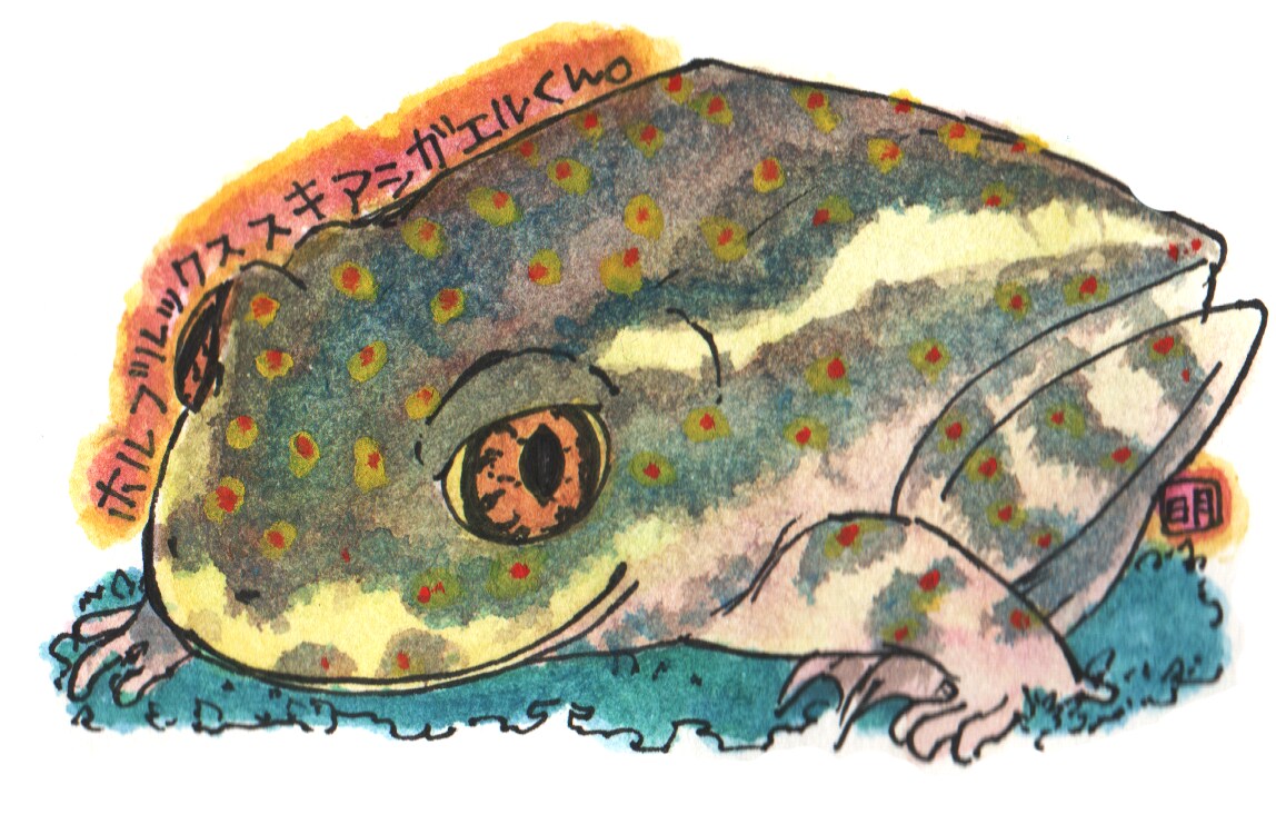 絵本のようなイラスト描きます 癒されるイラスト、絵本のようなイラストを描きます。 イメージ5