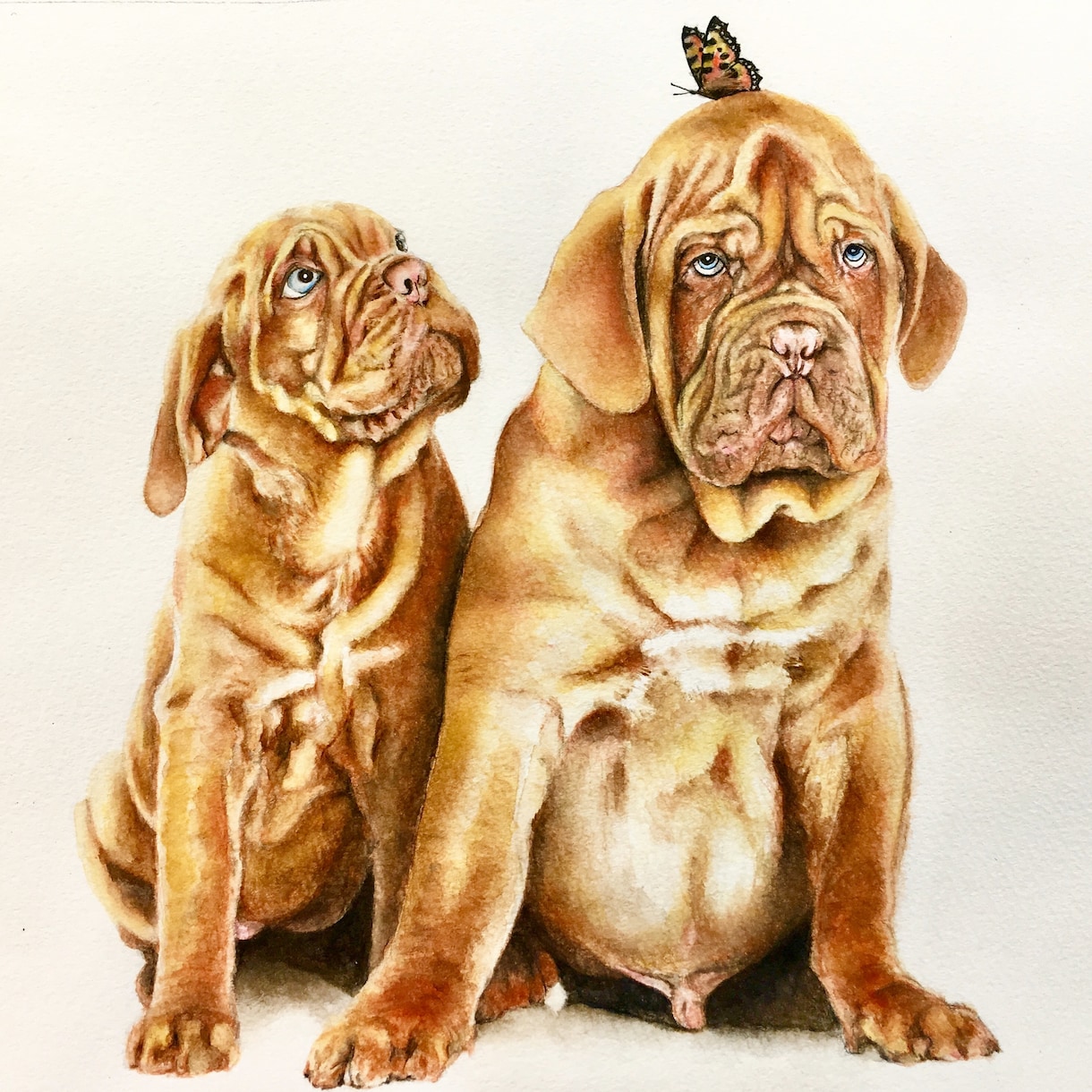 ペットやお好きな動物の似顔絵イラストを描きます プレゼントやペットとの思い出にいかがですか？ イメージ2