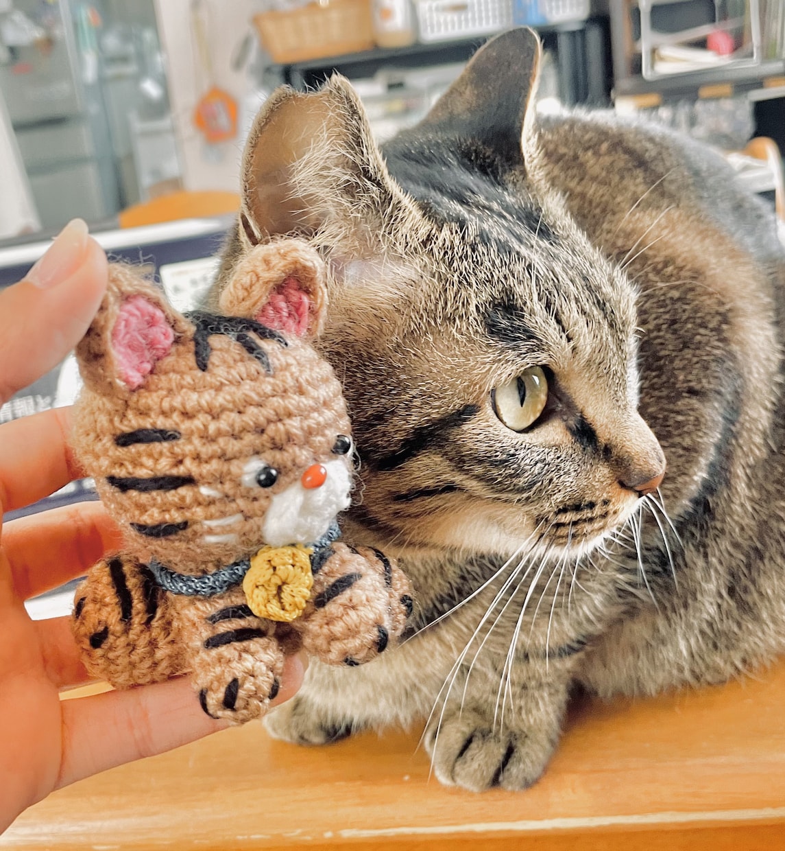 ご家族のペットの編みぐるみを制作いたします 猫ちゃん、犬ちゃん等の編みぐるみの制作いたします！ イメージ1
