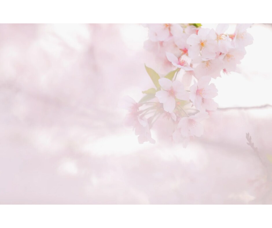 今日は主役！貴方の話したい欲♡解消します 普段聞き役の貴方へ。いつもご苦労様です。今日は何でも話してね イメージ4