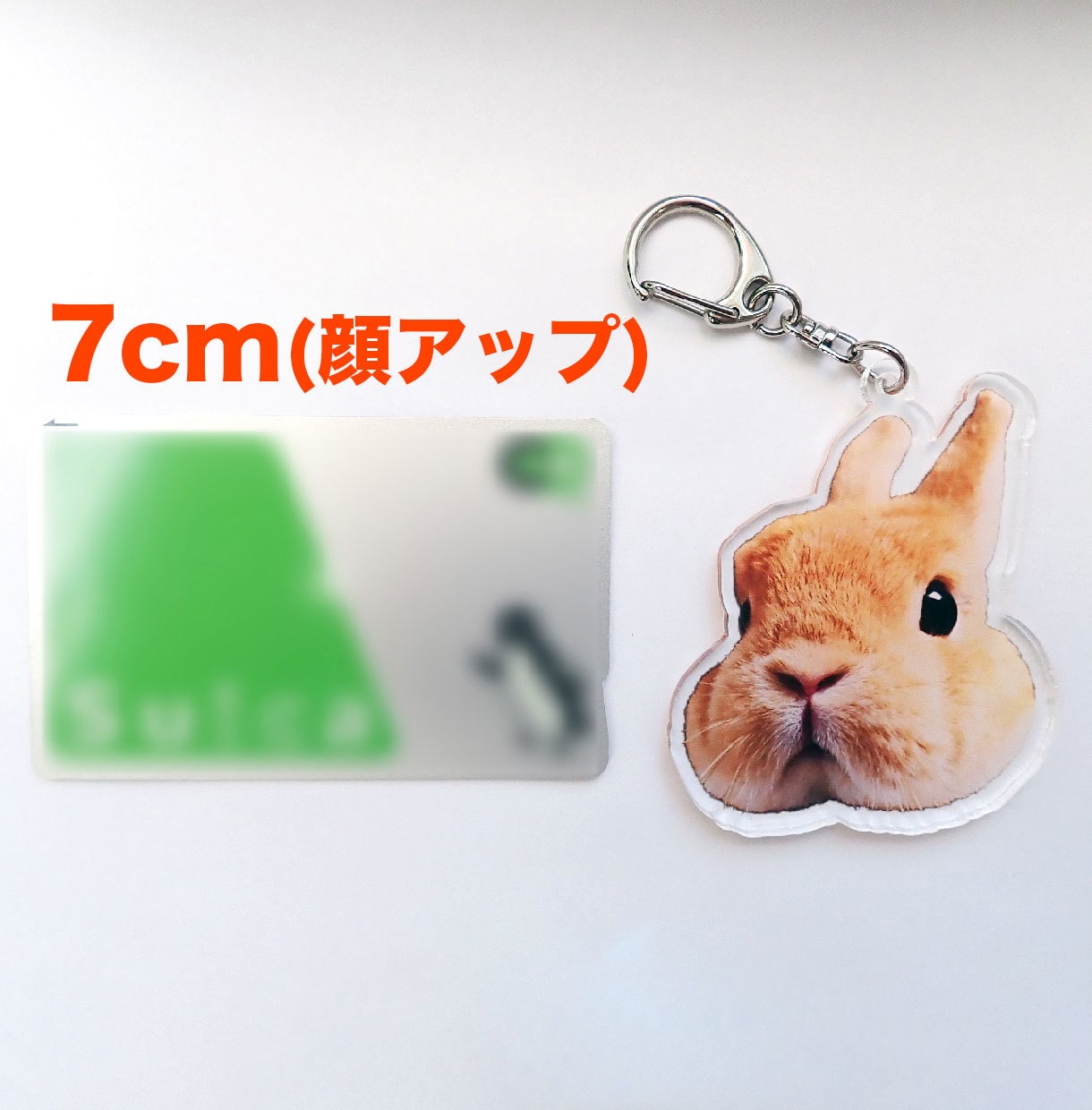 大切なペットのアクリルキーホルダー作ります 完全オーダーメイド！スマホの写真を送るだけでOK！ イメージ7