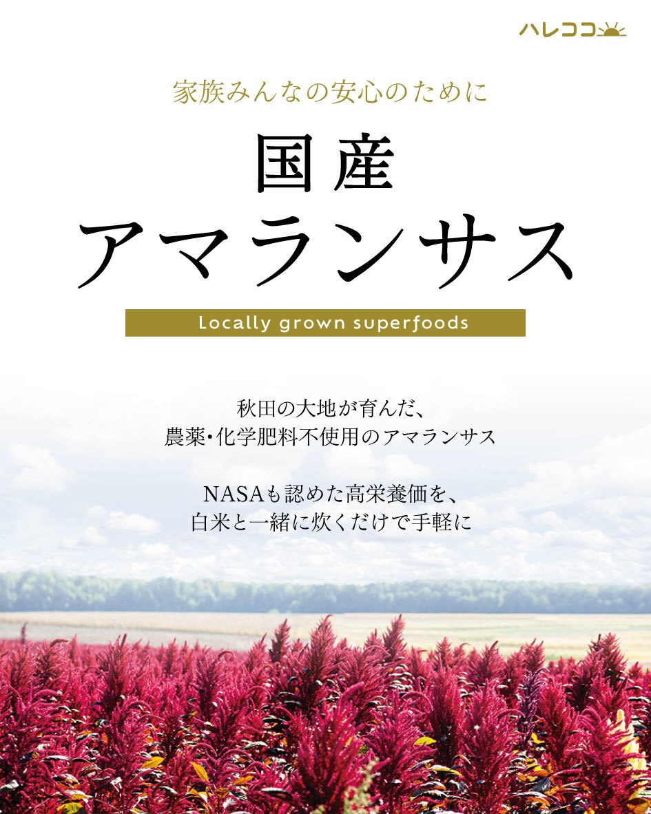目を引くチラシを作成いたします 洗練されたデザイン、インバウンド向けにも対応 イメージ4