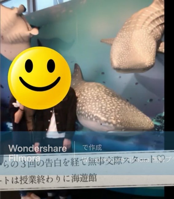 心に残る！結婚式プロフィールムービーを制作します 動画編集実績多数！動画制作はおまかせください！ イメージ9