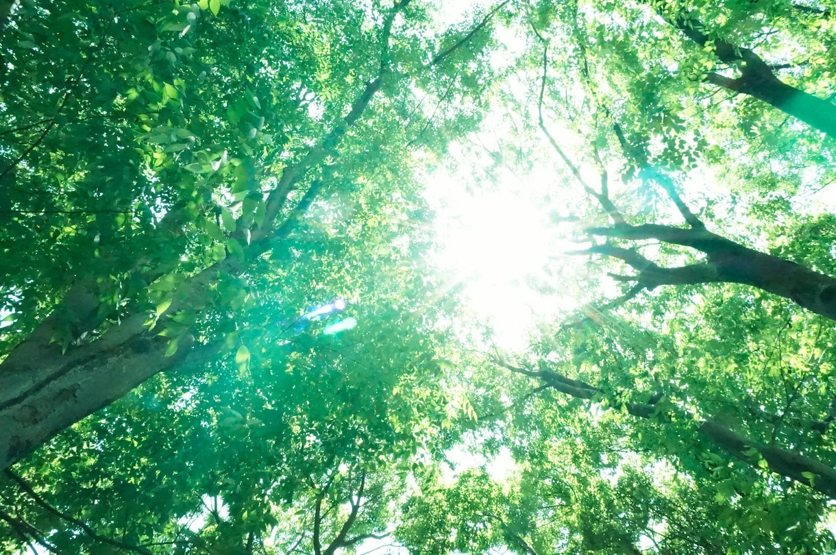 心に刺さったトゲを抜きます 今のあなたに一番影響を与えている事は何だと思いますか？ イメージ1