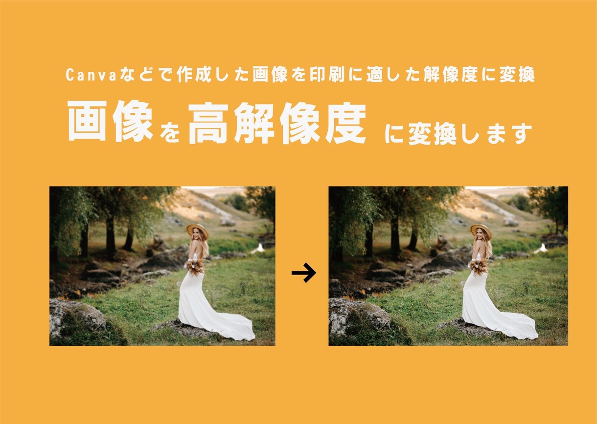 画像を印刷用に高画質に変換します 解像度が足りない画像を、印刷に適した高画質に最適化します イメージ1