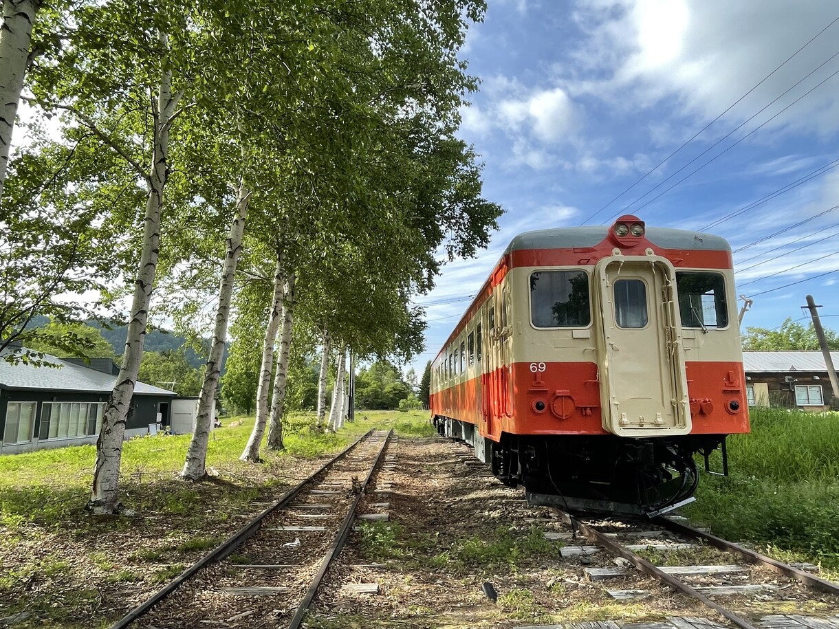 旅行で分からない部分だけでもサポートします 旅行プランからオススメグルメ、景色、旅先の知識だけでも歓迎！ イメージ3