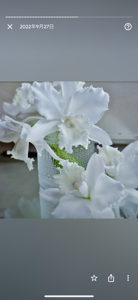千里眼神霊感•霊視透視•近未来予知•総合占いします 恋愛。結婚、仕事、心配不安、何でも、ござれ☆★ご相談下さい★ イメージ2