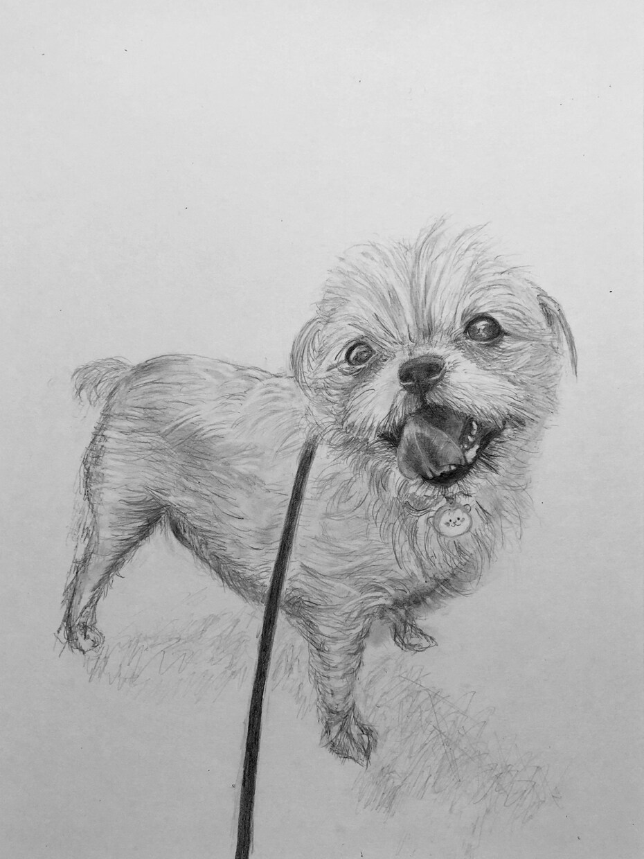 愛しいわんこさんの日常描きます 一緒にいた心地よい光景を描かせて頂きます。心に触れる絵 イメージ9
