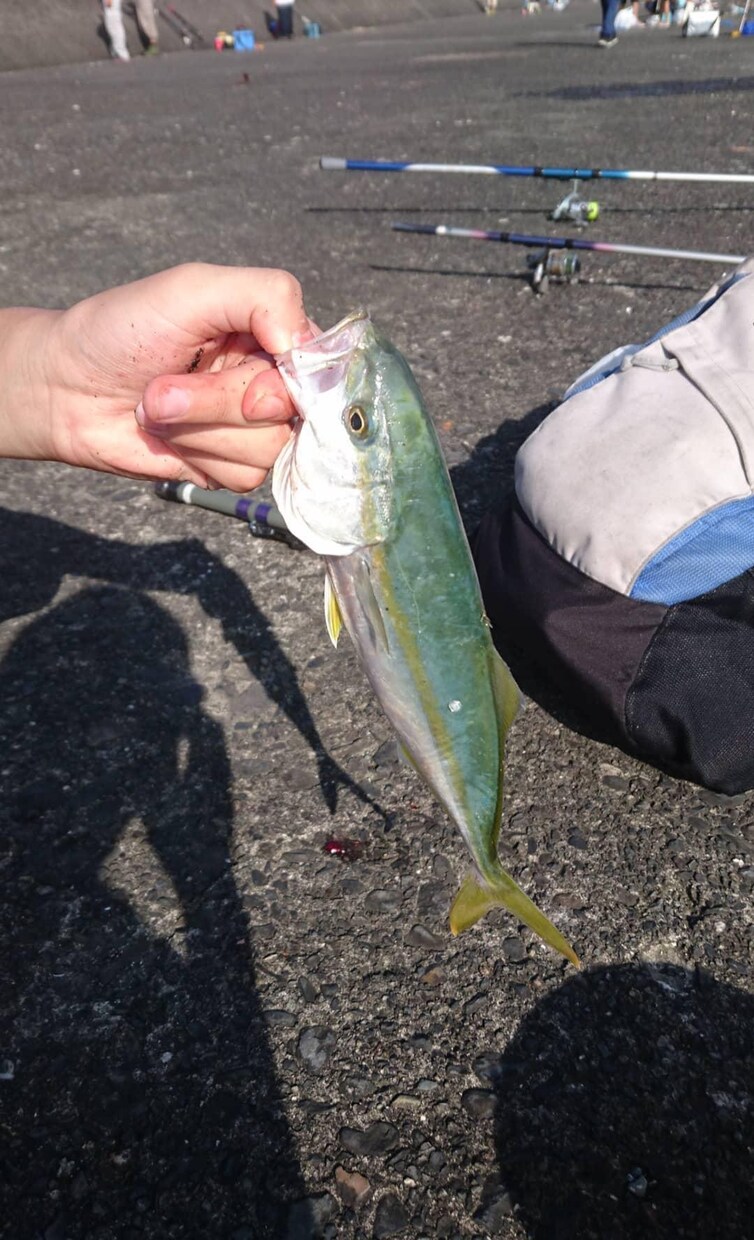 これから釣りを始める方へ釣りの基本を教えます 釣り歴８年が釣りの基本 基礎知識 やり方等を教えます。 イメージ1