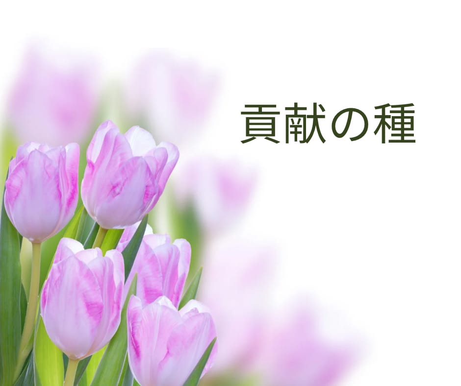 貢献の種。画像をDLしていただけます 貢献の種。画像をDLいただけます。 イメージ1