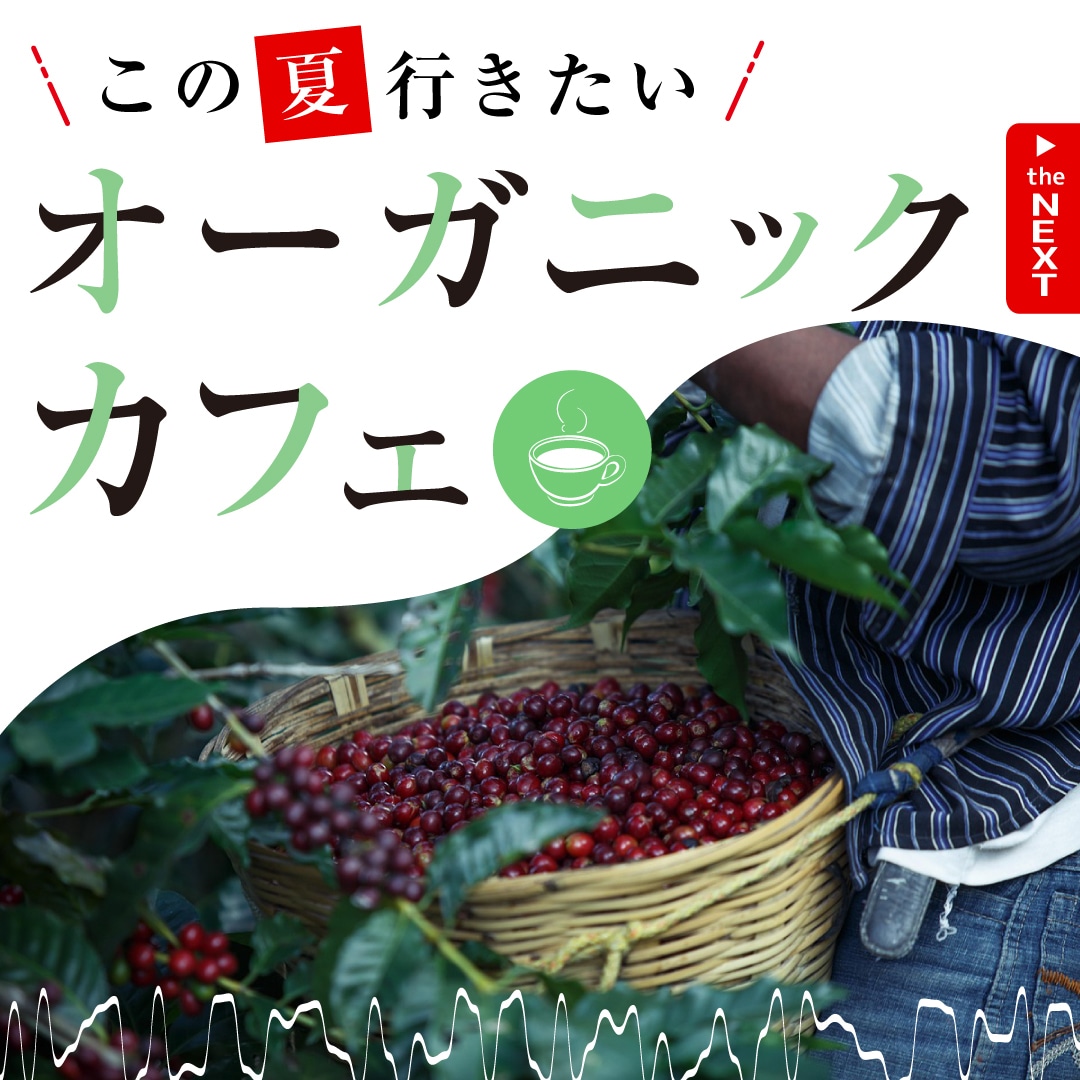 Instagram画像、プロが制作します 写真だけじゃ勿体ない！『伝わる広告』『世界観』を明確に。 イメージ5