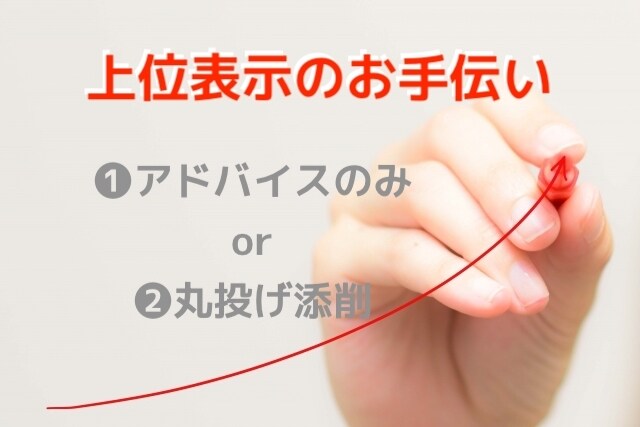 記事アドバイス★SEOで上位表示を手助けします 最速10日で7位+収入を出したブロガーの私が記事をサポート イメージ1