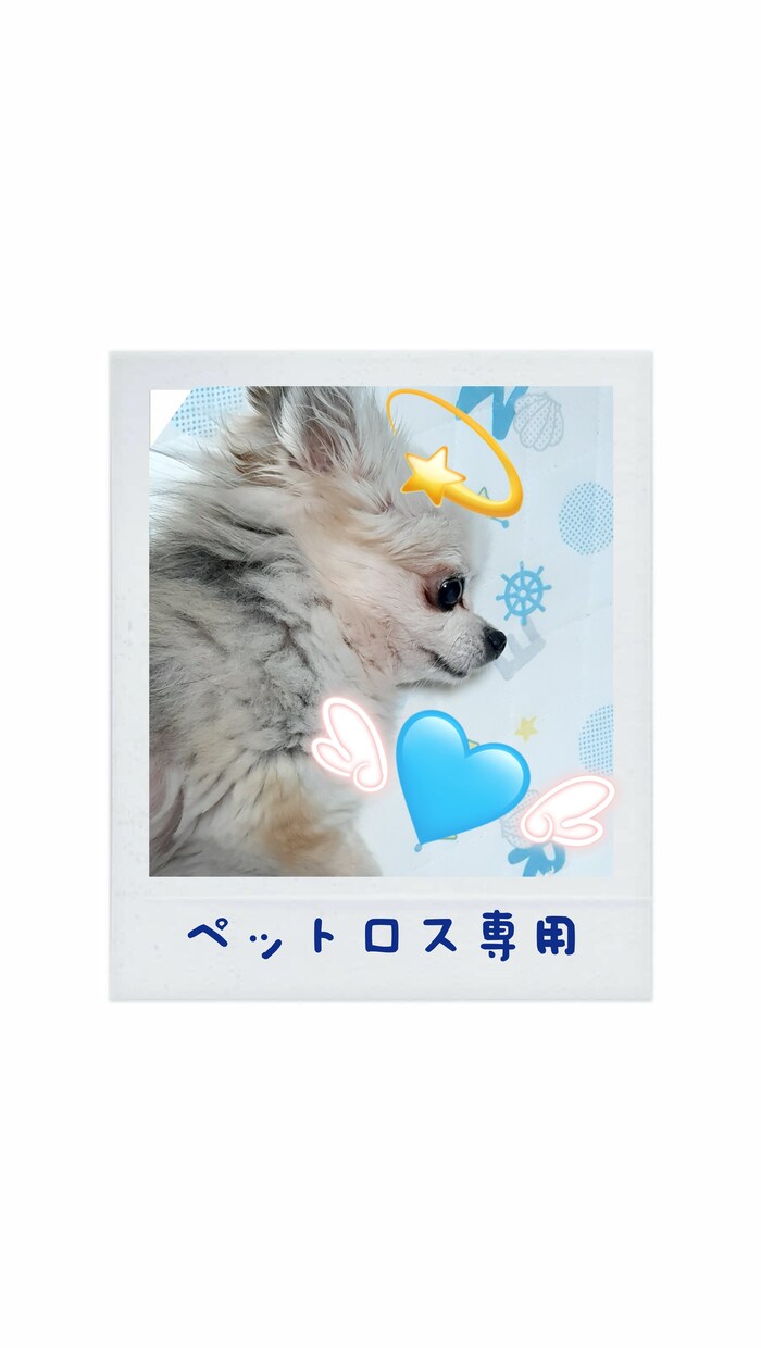 動物看護師がお話を聞きます ペットロス専用です。動物看護師経験からお話をお聞きします。 イメージ1