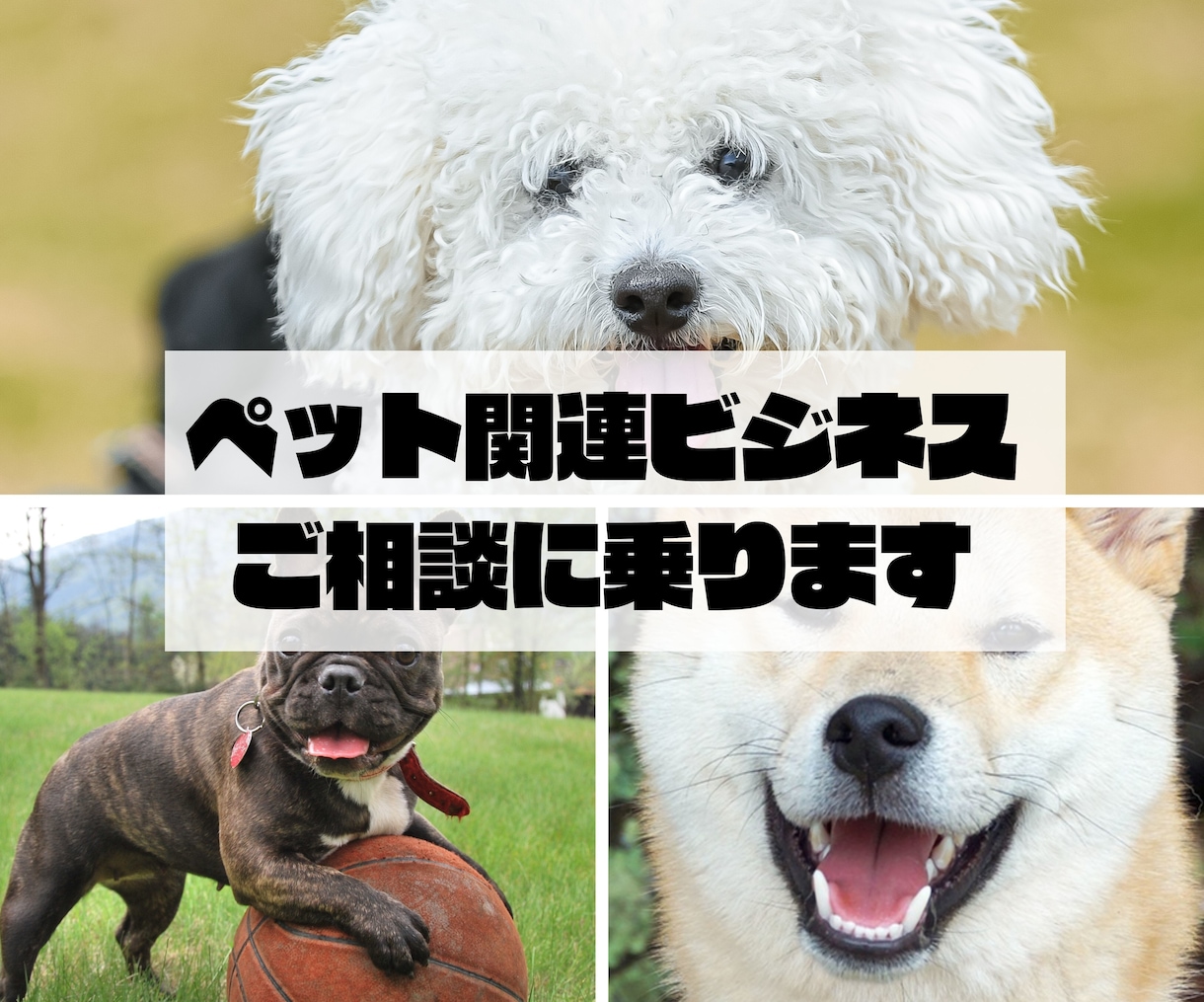 ペット関連ビジネスを検討している方ご相談に乗ります 【電話でのご対応】【ペット業界16年で情報量豊富！】 イメージ1