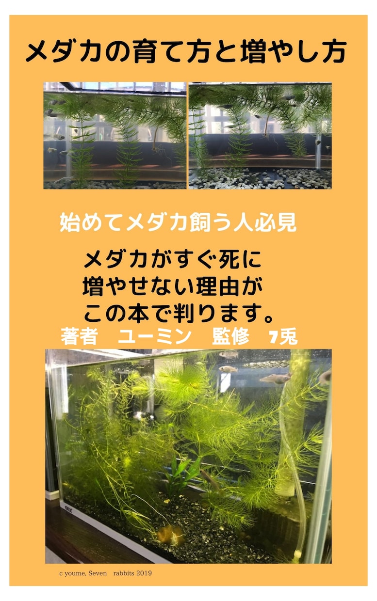 メダカを死なせない7原則を動画で教えます パワーポイントを使ってメダカを死なせない7原則動画で公開 イメージ1