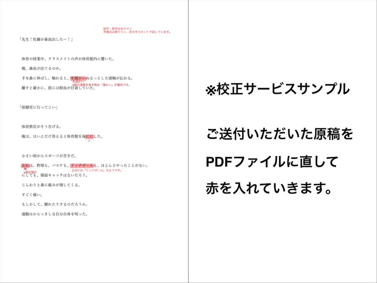 あなたの小説・文章を校正・ブラッシュアップします 〜誰かの心に響く文章を目指す方へ〜 イメージ2