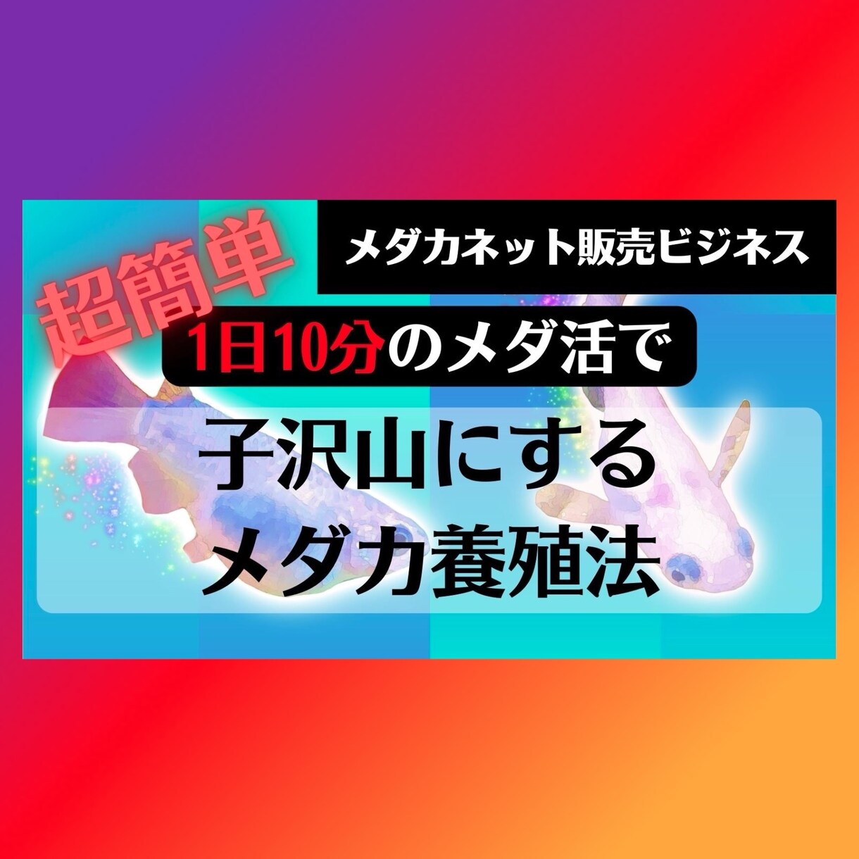 副業に最適！子沢山にするメダカ養殖法を教えます 初心者大歓迎！安心で手間いらず！1日10分のメダ活だけ！ イメージ1