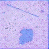 顕微鏡などの画像を修整（修正）して鮮明にします 顕微鏡観察像などのフーリエ変換等による修整 イメージ2
