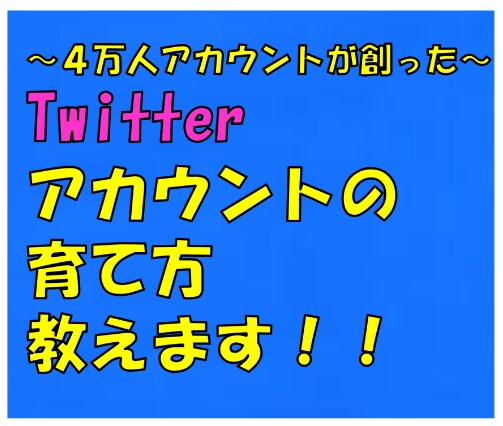 Twitterのアカウントの育て方教えます フォロワー４万人以上のアカウントが創ったTwitter攻略 イメージ1