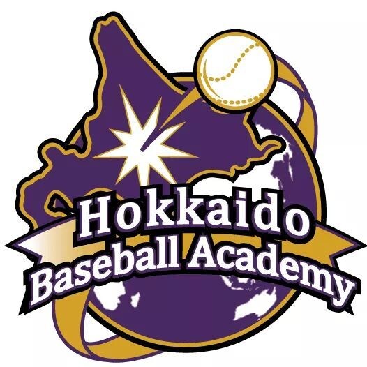 野球が好きな方！今よりも速く投げ、遠くに打てます 初心者の子どもからプロを目指してい現役選手まで イメージ1