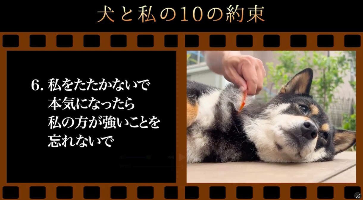 想いを形に、愛するペットのメモリアル動画ます 心に響く、優しい映像をお届け！！！ イメージ1