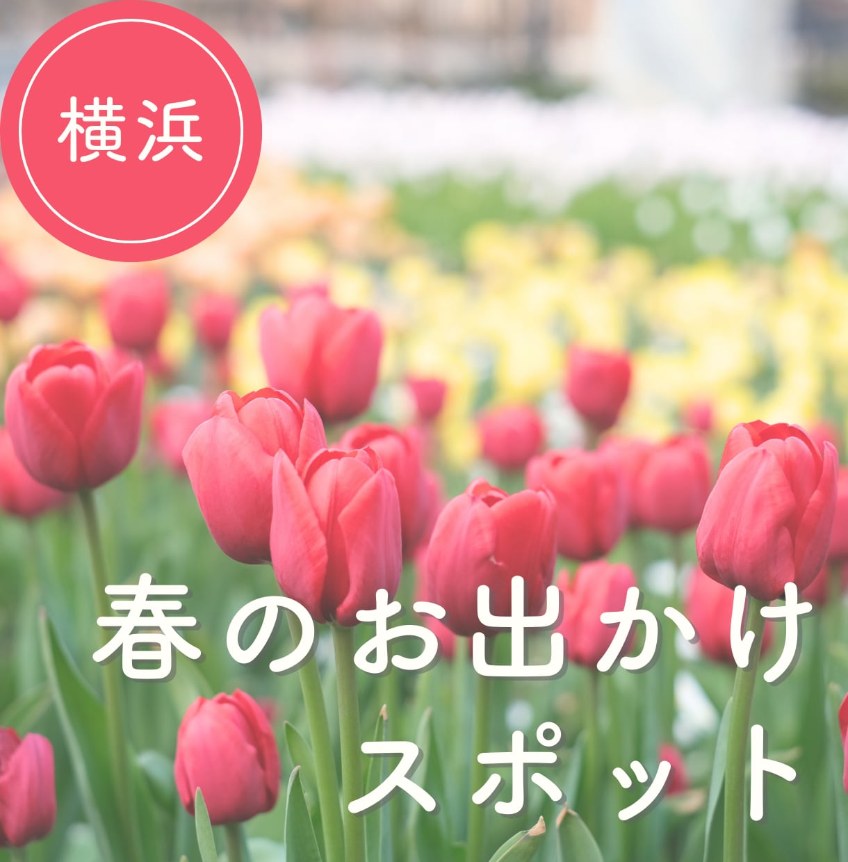 ターゲットに刺さる！インスタ投稿画を作成いたします 修正無制限/フィード投稿/ストーリーズ画像OK イメージ4