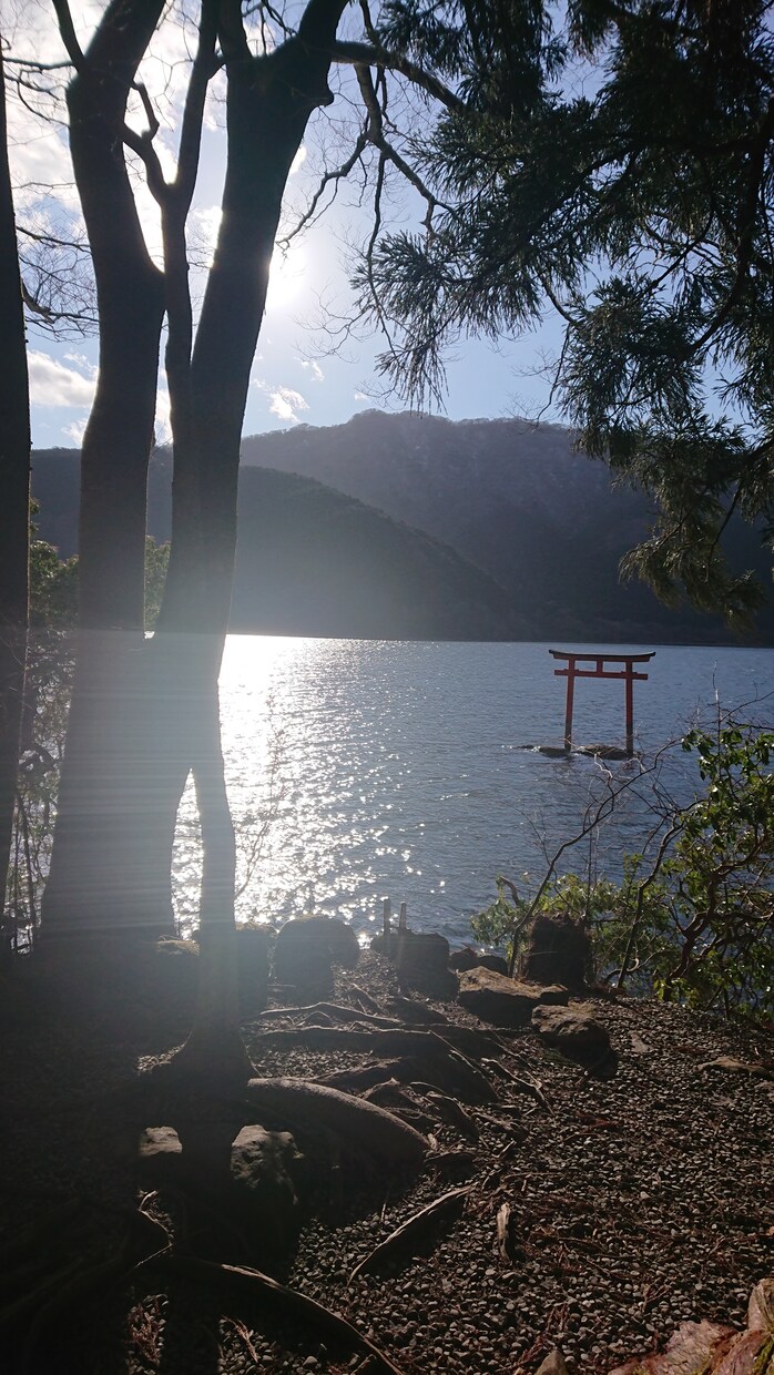 九星学占い(恋愛・結婚・転職・新築など)承ります 人生を豊かにするお手伝いができれば最高です！ イメージ1
