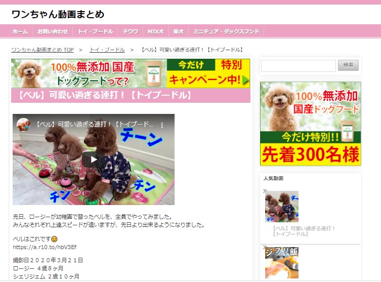 動画まとめサイト構築パッケージ提供します 特典あり！アフィリエイトや副業初心者の方におススメ！ イメージ5