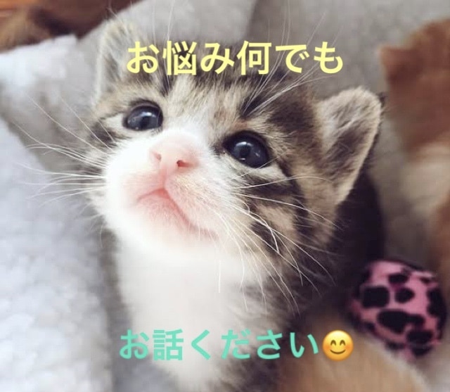 お電話お悩み相談、辛いこと小さなこと何でもききます 人には相談しにくい、少しだけ話をきいてほしい何でもお気軽に イメージ1
