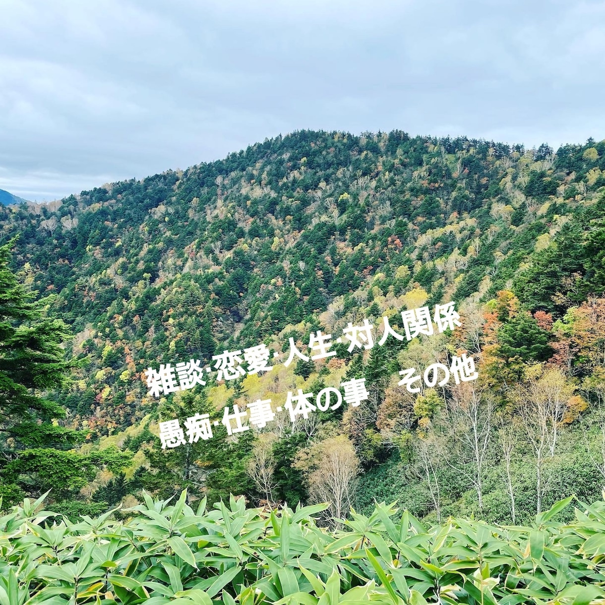 あなたのお心に寄り添いお話を伺います 現役居酒屋女将があなたの雑談、悩み、心の叫びに寄り添います イメージ1