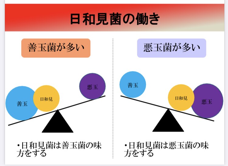 あなたに合った便秘改善に効く腸活方法教えます あなたの腸内環境を整えることに最適！！ イメージ4
