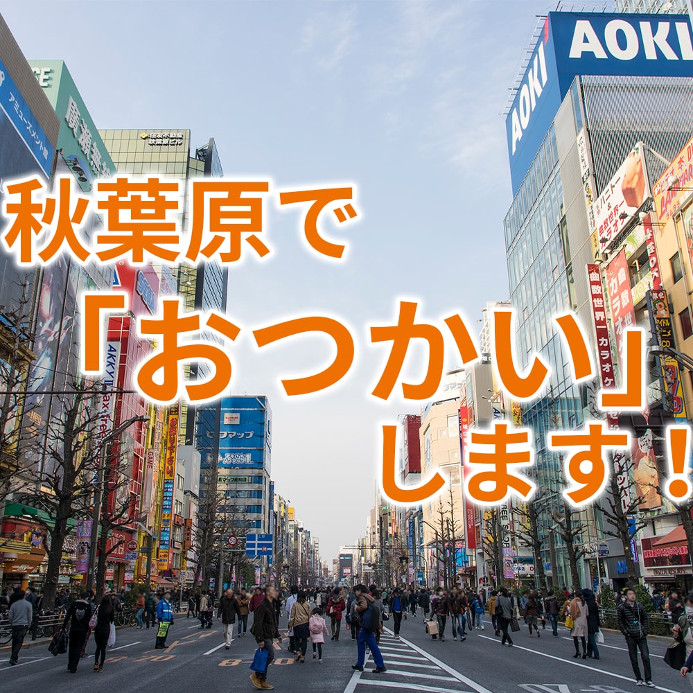 秋葉原で「おつかい」します 秋葉原で指定された写真を撮ったり、調べたりします。 イメージ1