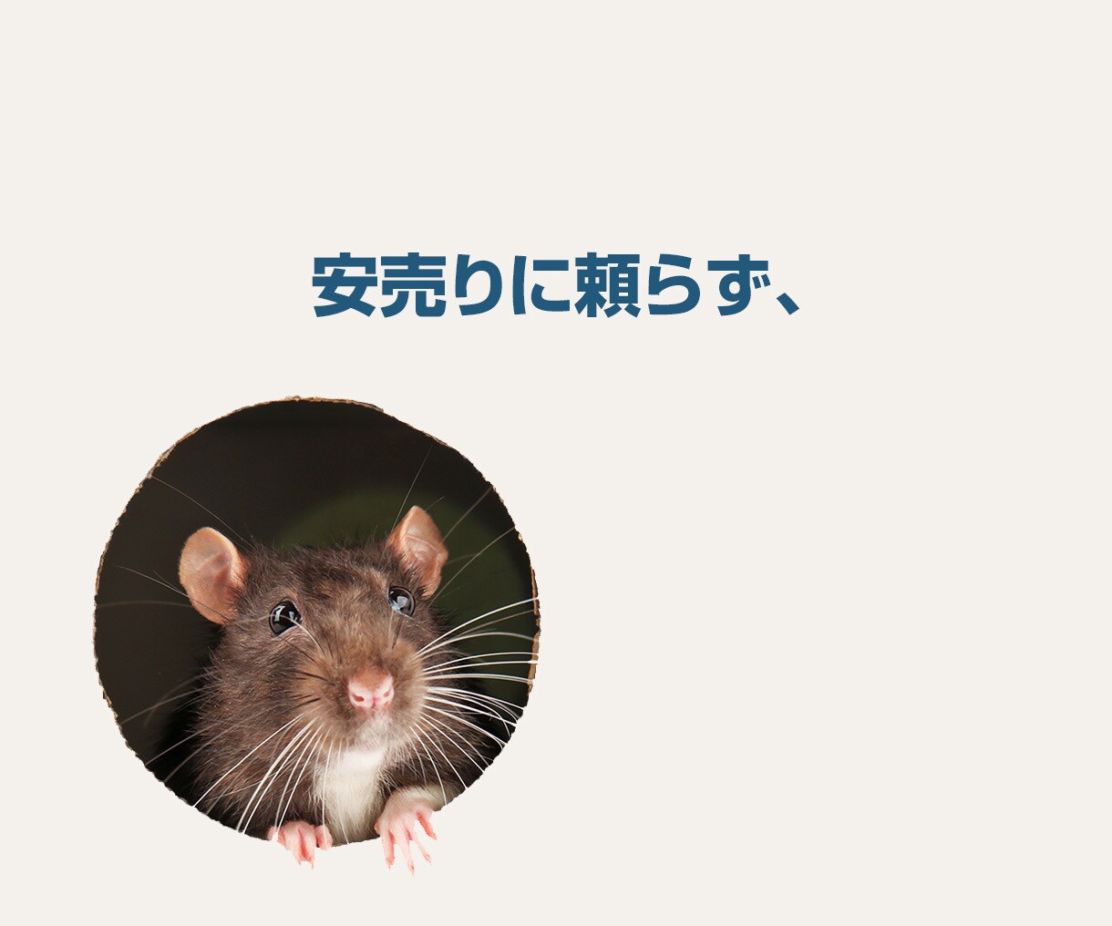 安売りせず、価値で選ばれるLP制作します 商品の魅力と背景を整理し、申込みにつながるLPへ イメージ3
