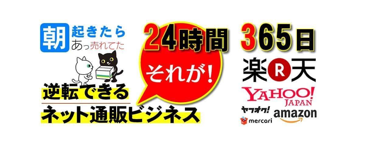 楽天14年の実績、ネット通販の勝ち方、教えます 通販コンサル、小手先のテクニックではもう生き残れません。 イメージ3