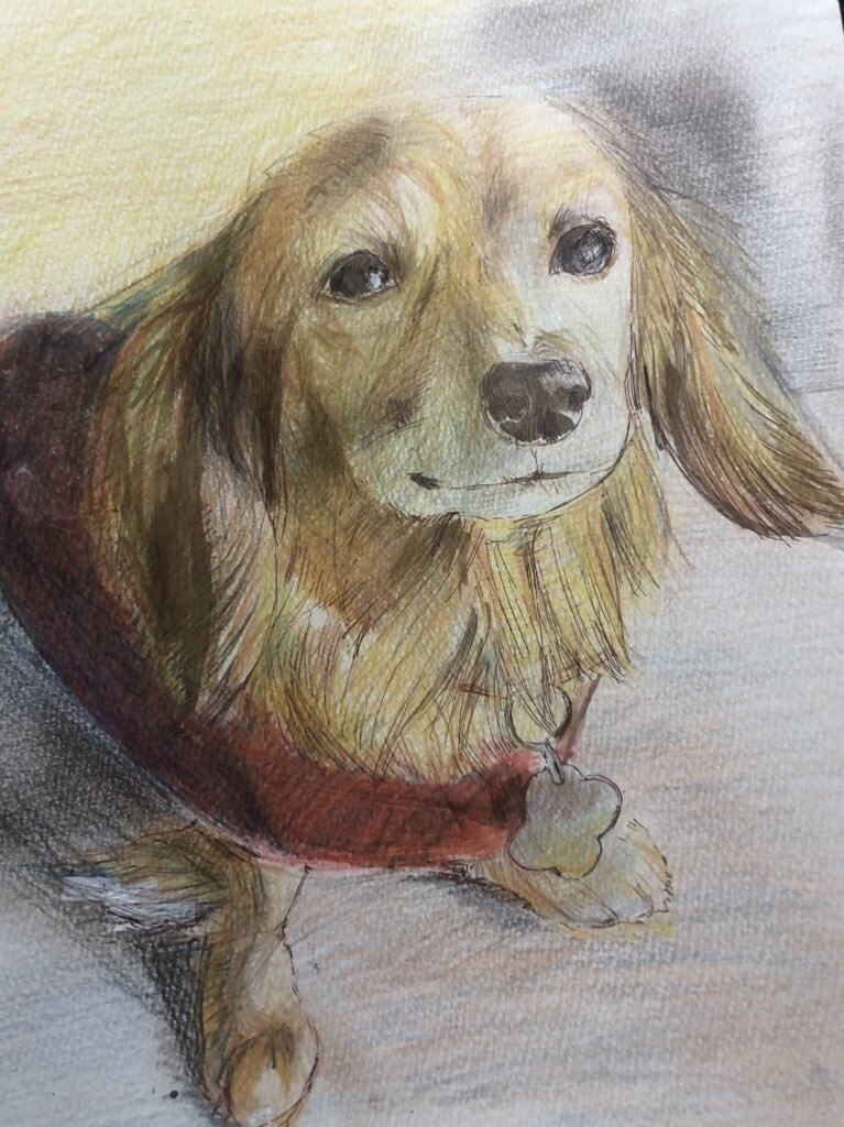 動物のイラストを絵画タッチに描きます 大好きな家族(動物)をそっくりに絵に描いてもらいたい方へ イメージ2