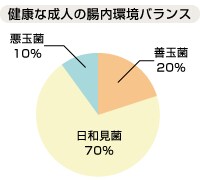 乳酸菌をまとめた資料。 イメージ1