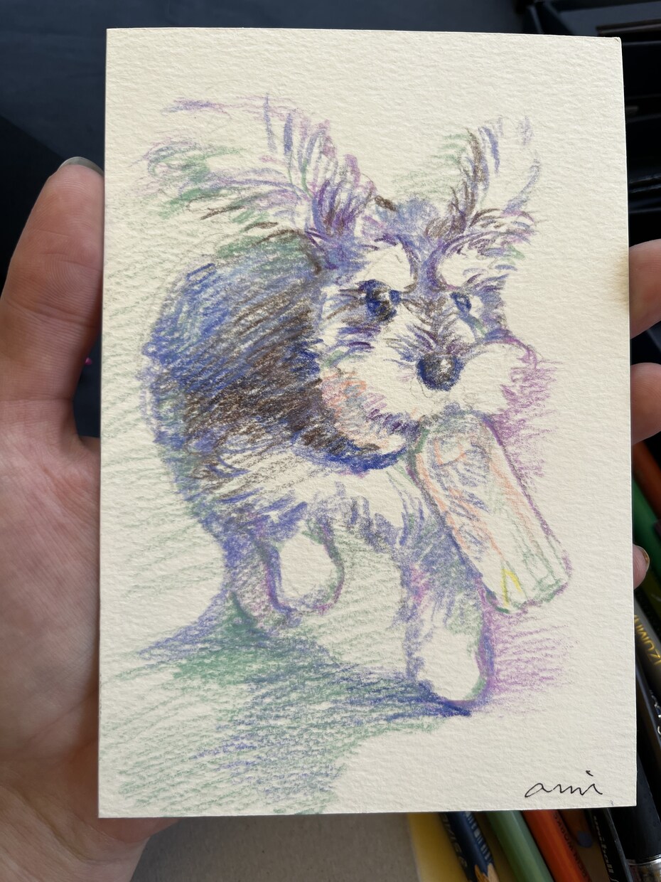 色鉛筆でペットの似顔絵ポストカード制作します 色鉛筆で雰囲気のある色味の似顔絵を描きます！ イメージ5