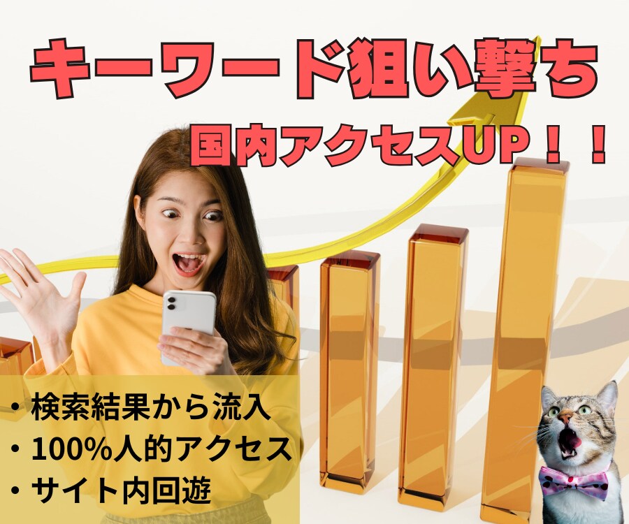 SEO外部対策でサイトアクセス数を増やします キーワード狙い撃ちの国内リアルアクセスブーストサービス イメージ1