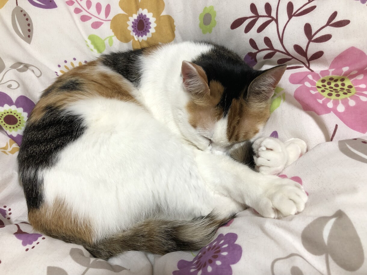 悩みや愚痴など親身になってお聞きします 悩み、愚痴などお話し聞きます。よろしくお願いします。 イメージ1