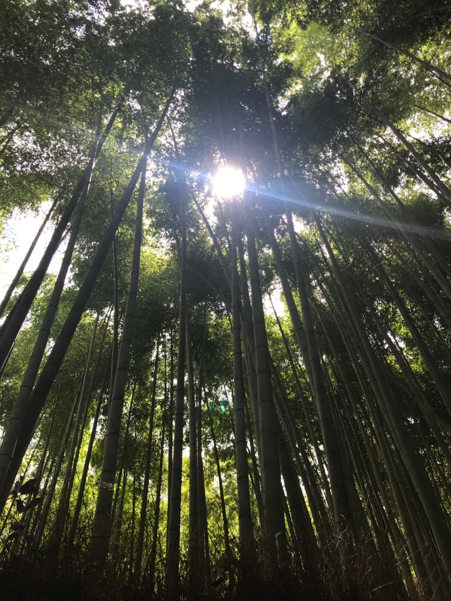 あなたのお話しお聴きします 看護師・保健師の経験を活かして、あなたの心によりそいます イメージ1