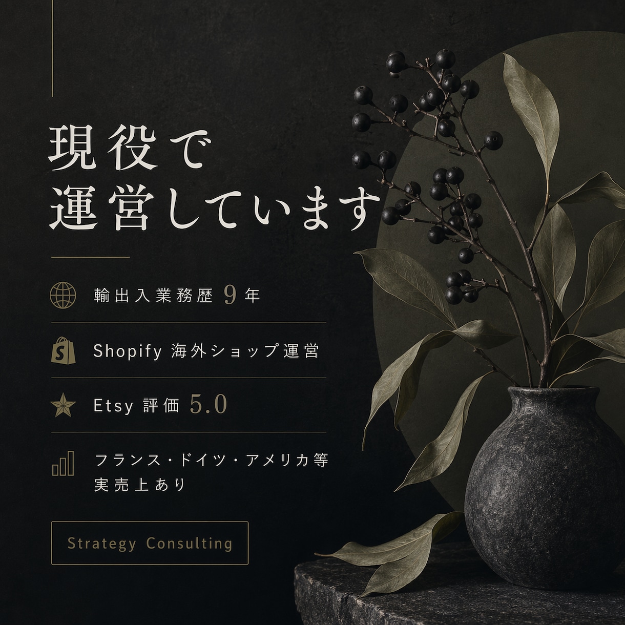 越境EC戦略を相談｜現役セラー対応します 売上につながる戦略を一緒に考えます イメージ2