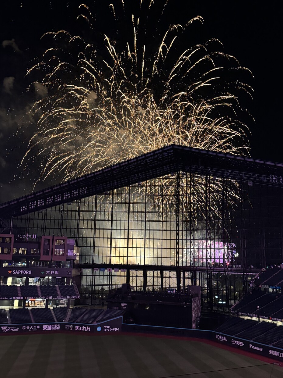 プロ野球観戦の一択プラン作成します そのまま動けばOKな観戦プラン イメージ4