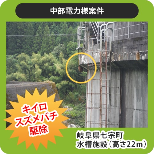 初めてでも安心！ヘッダー・バナー制作致します まごころをこめて、親切、丁寧で。 イメージ4