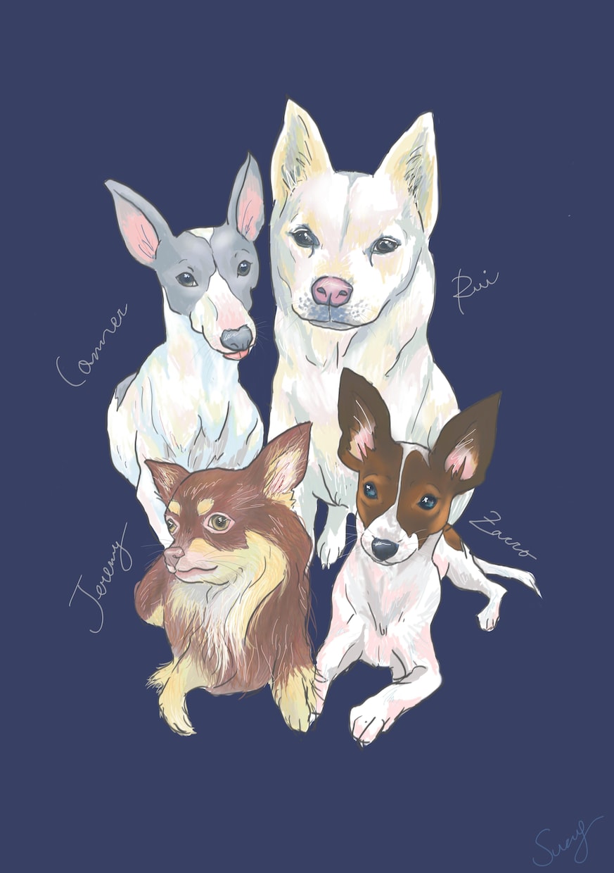 ポップでカラフルにペットを描きます ～可愛く愛犬をかざりませんか～ イメージ5