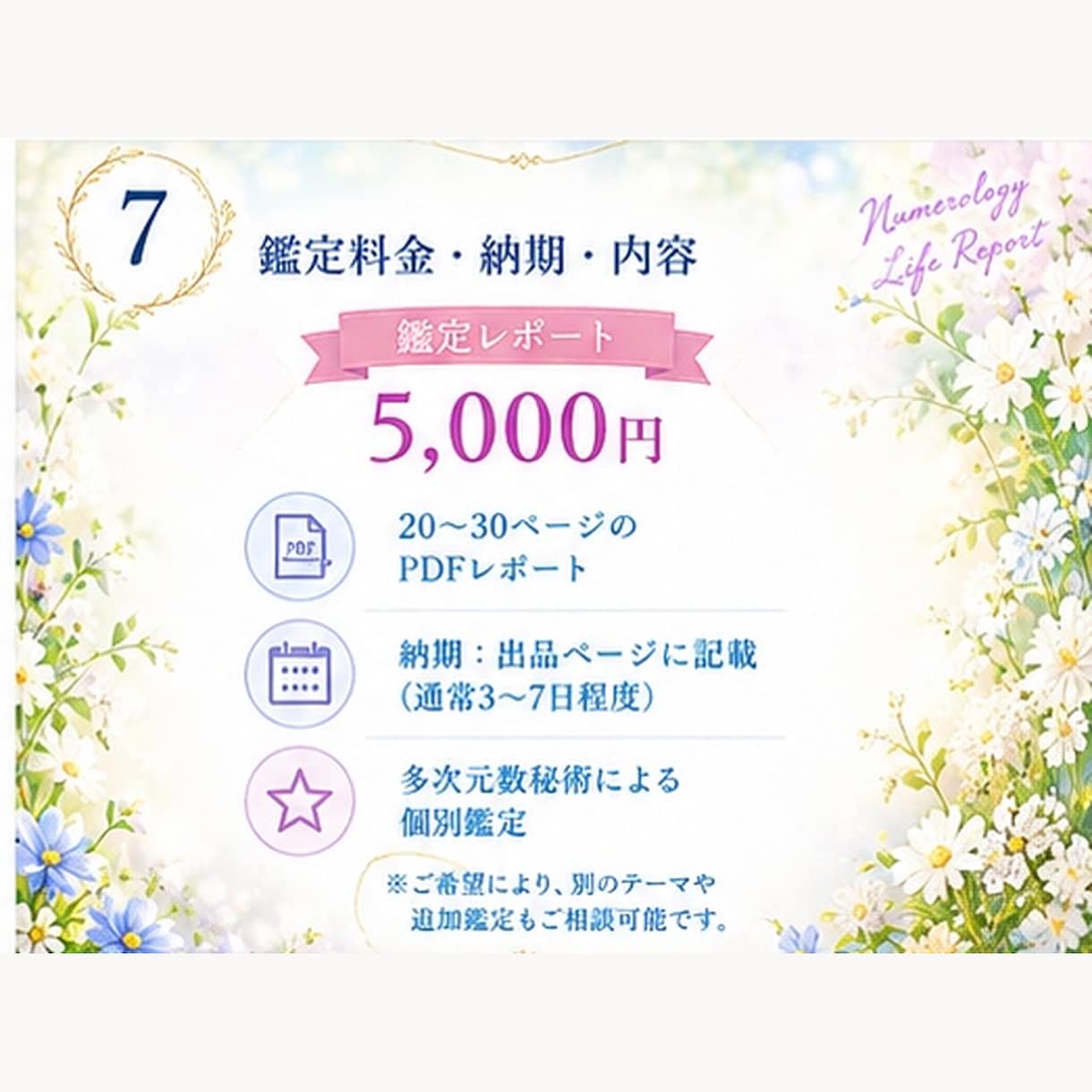 人生の仕様書★多次元数秘術鑑定レポート作成します 鑑定3千人／魂の使命・カルマ・才能・人生のバイオリズムを網羅 イメージ7