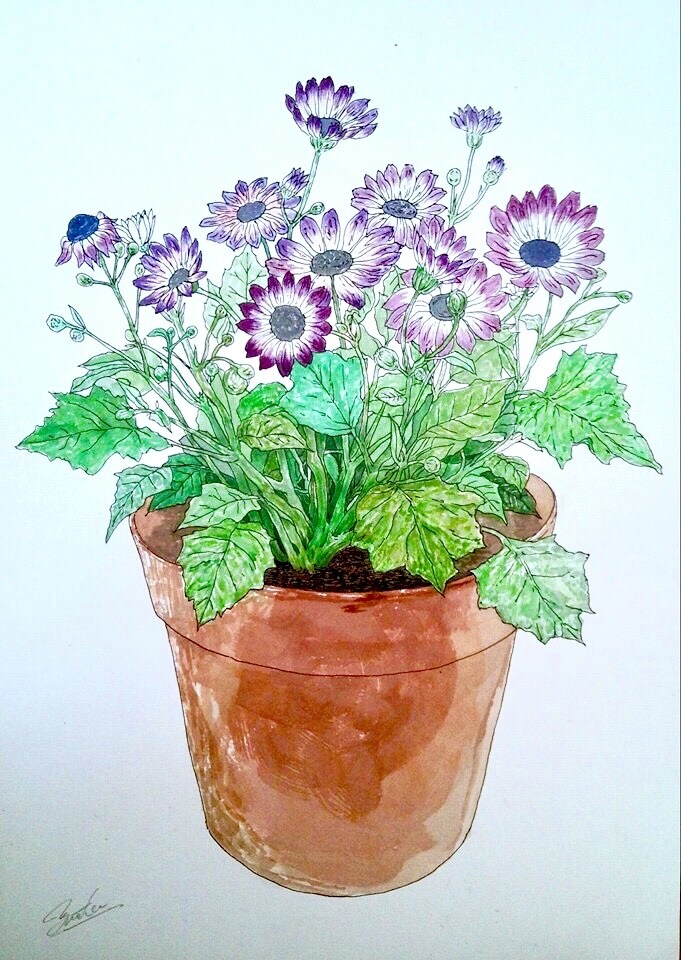 あなたの誕生花を描きます あなたの生活を彩る一枚の作品として！ イメージ3