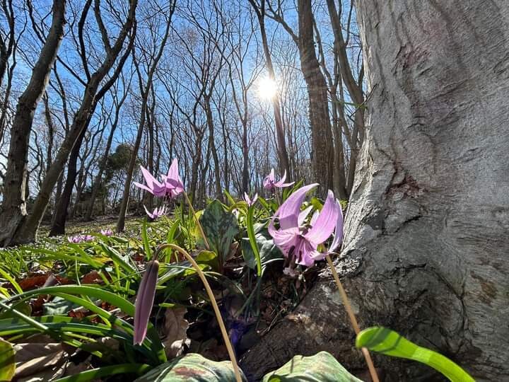 眠れない夜★☆眠くなるまでとことんお付き合いします 今日もお疲れさま♡気分転換　雑談　傾聴　お休みコール　膝枕 イメージ5