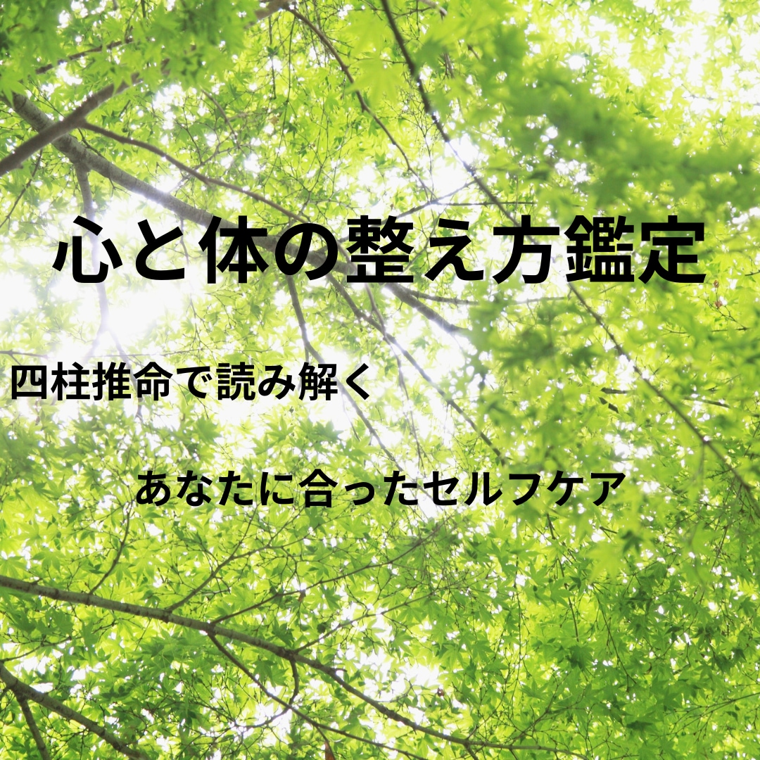 四柱推命で体質と整え方をお伝えします あなたらしく元気でいるためのヒントを届けます イメージ1